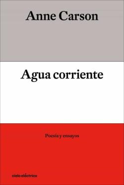 Libro Agua Corriente