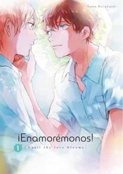 Libro Enamoremonos 1