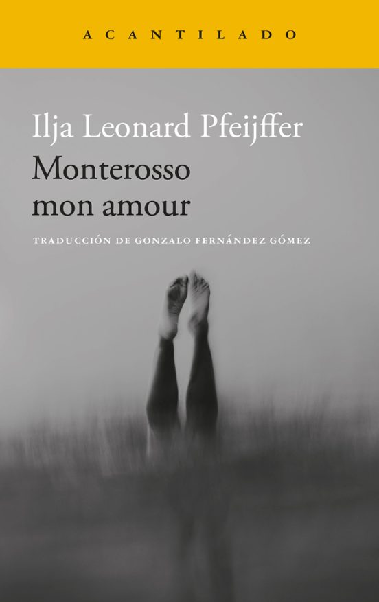Portada de Monterroso Mon Amour