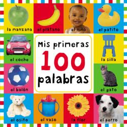 Libro Mis Primeras 100 Palabras
