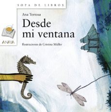 Libro Desde Mi Ventana