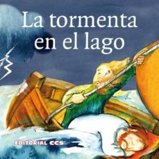 Libro La Tormenta En El Lago