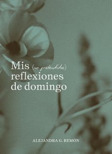 Libro Mis (no Pretendidas) Reflexiones De Domingo