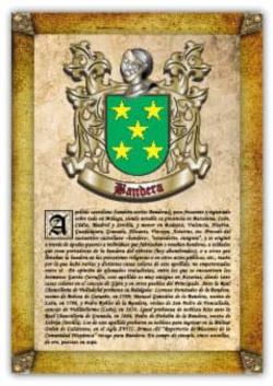 Libro Apellido Bandera / Origen, Historia Y Heráldica De Los Linajes Y Apellidos Españoles E Hispanoamericanos